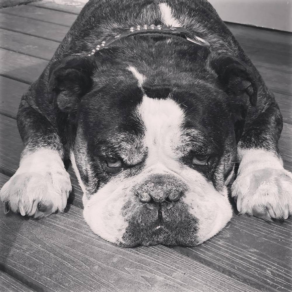 Meet your Posher, Sean